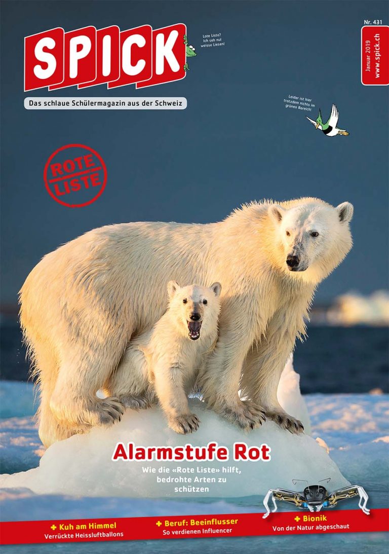 SPICK 431 Januar 2019