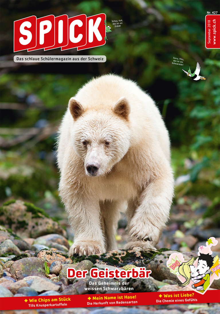 SPICK 427 September 2018