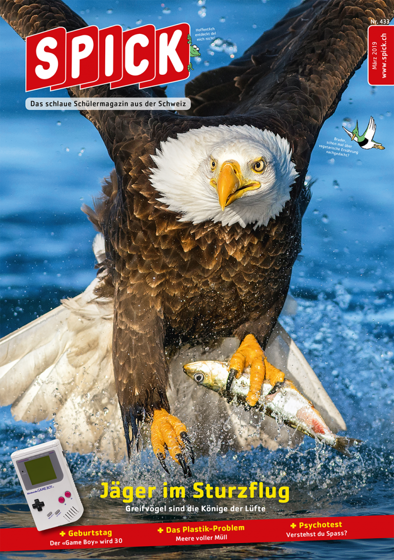 SPICK 433 März 2019