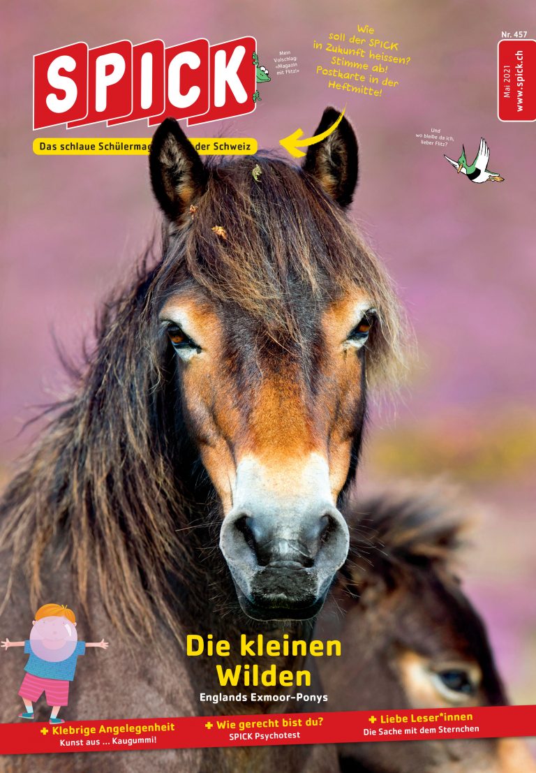 SPICK 457 Mai 2021