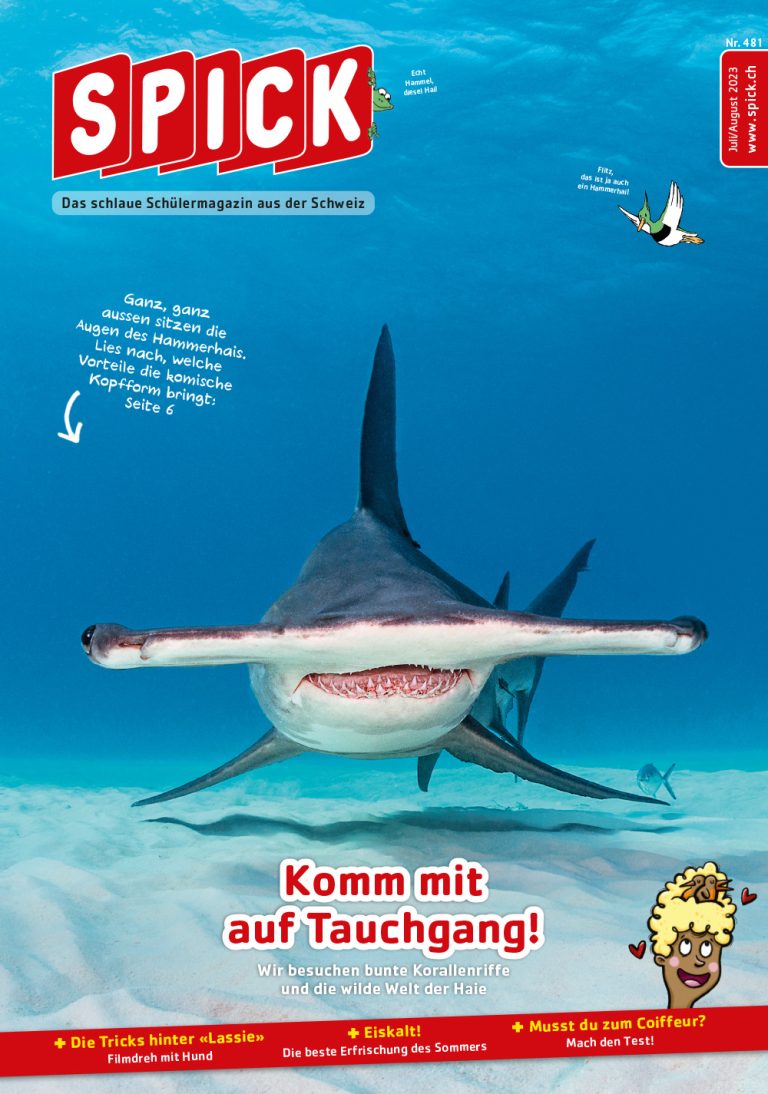 SPICK Juli 2023